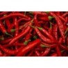 Olio extravergine 666 piccante