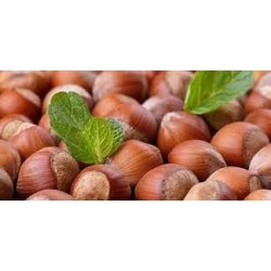 Crema alla Nocciola di Piemonte e cacao 30 g e 180 g