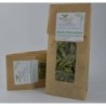 Stevia Rebaudiana
