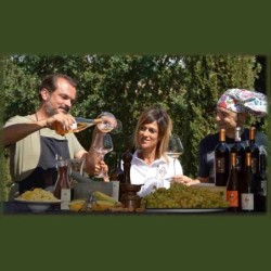 "Terre di Bracciatica" Vermentino Igt Toscana 2022 Bio
