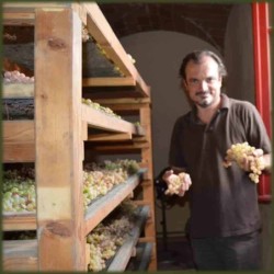 Colmo di cielo Rosato Igt Toscana biologico