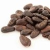 Fave di cacao tostate
