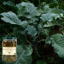 Fagioli al cavolo nero BIO