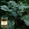 Fagioli al cavolo nero BIO