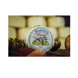 Bianchetta - Caciotta Toscana al Tartufo