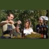 Chianti Montespertoli “Podere dell’Anselmo” 2021 Biologico