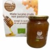 Miele di eucalipto BIO