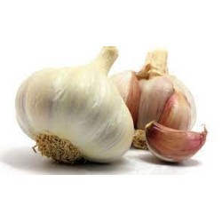 Condimento Rustico in Olio Extravergine
