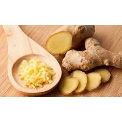 Marmellata di Arance e Zenzero g 225