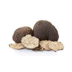 Risotto con Tartufo