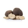 Risotto con Tartufo