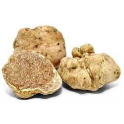 Crema ai Carciofi e Tartufo Bianco