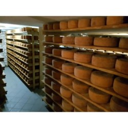 Pecorino bagnolese stagionato 6 mesi