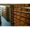 Pecorino bagnolese stagionato 6 mesi