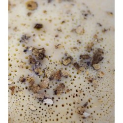 Testarolo Artigianale Lunigianese al Tartufo