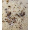 Testarolo Artigianale Lunigianese al Tartufo