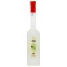 Grappa Regina