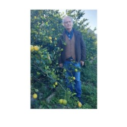Limoni freschi di Sicilia 6 kg