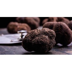 Miele al Tartufo