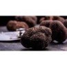 Miele al Tartufo