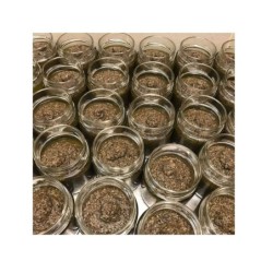 Salsa tartufata