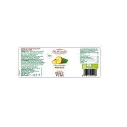 Fruttasì Ananas