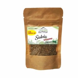 Salvia Siciliana