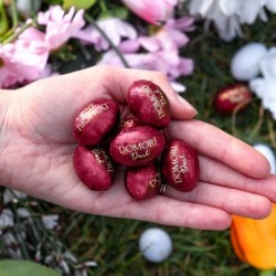 Sacchetto Dark and cremino mini eggs