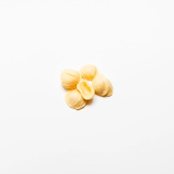 Orecchiette di grano duro italiano