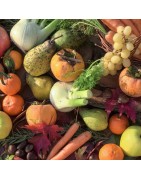 Frutta e Verdura