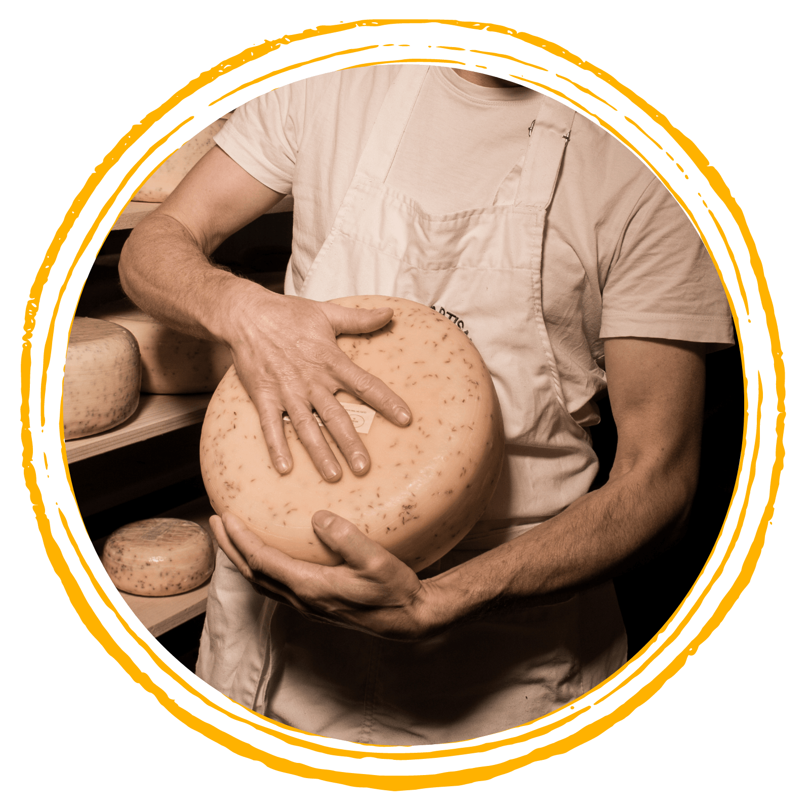 Formaggi
